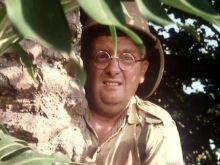 Don Estelle