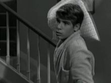 Don Grady