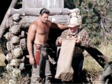 Don Haggerty