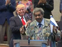Don King #2852212 picture (Landscape Medium)