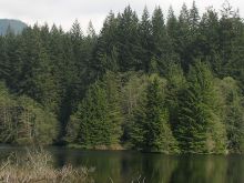 Don Lake