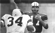 Don Meredith