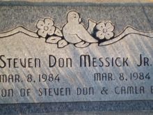 Don Messick