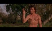 Don Swayze