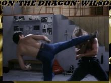 Don 'The Dragon' Wilson