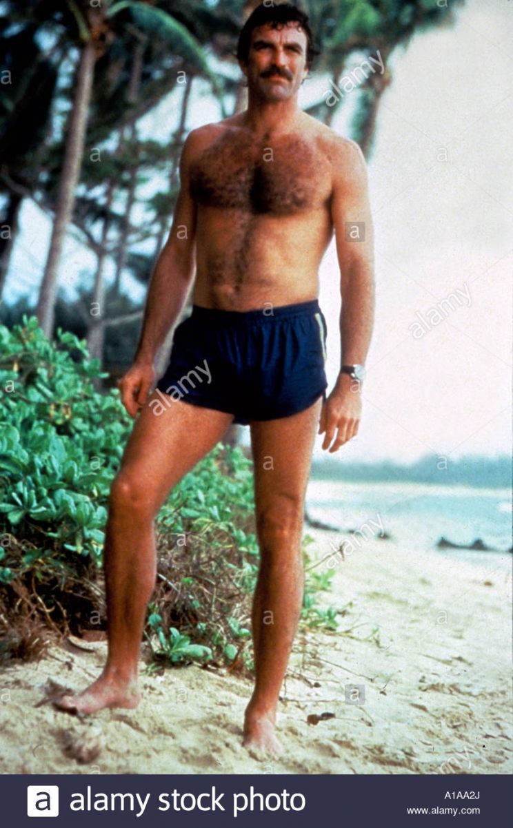Donald P. Bellisario
