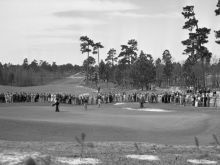 Donald Ross