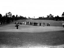 Donald Ross