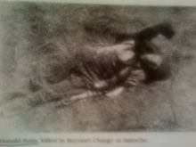 Donald Ross