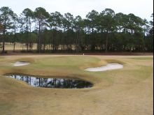Donald Ross