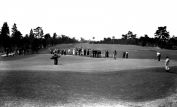 Donald Ross