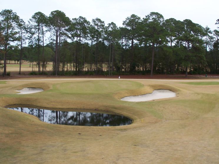Donald Ross