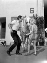 Donna Douglas