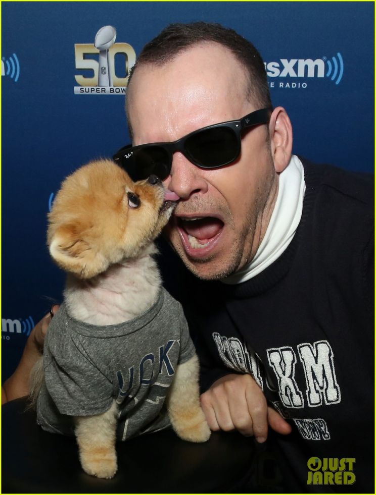 Donnie Wahlberg