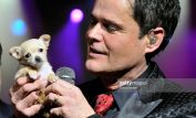 Donny Osmond