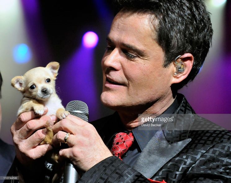 Donny Osmond