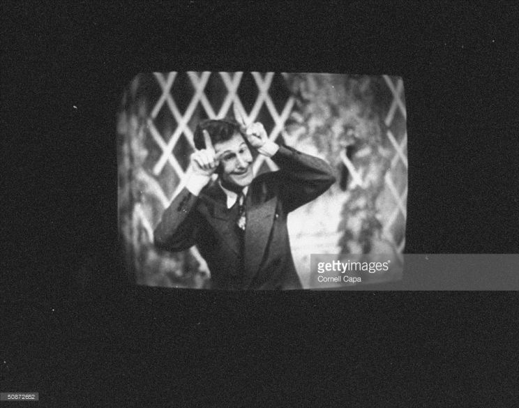 Doodles Weaver