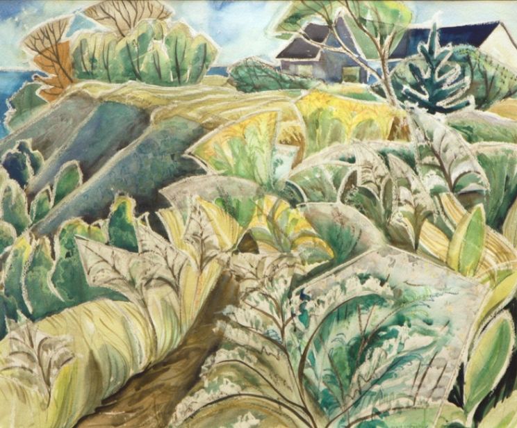 Doris McCarthy