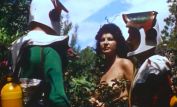 Doris Wishman