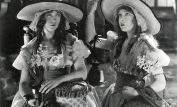 Dorothy Gish
