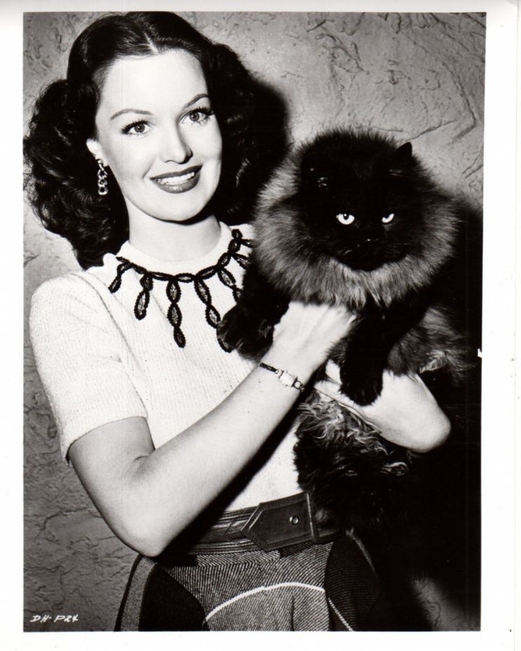 Dorothy Hart