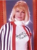 Dorothy Malone #668789 picture (Portrait Medium)