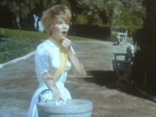 Dorothy Provine