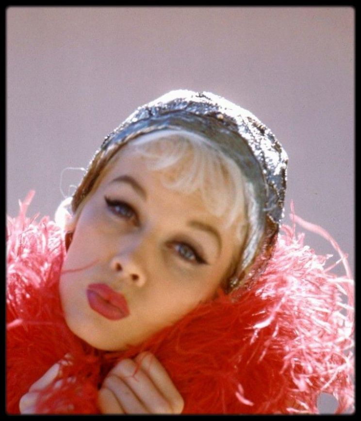 Dorothy Provine