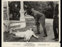 Dorothy Tristan