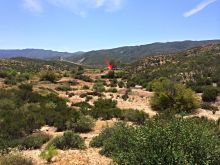 Doug Noble #1477063 picture (Landscape Medium)