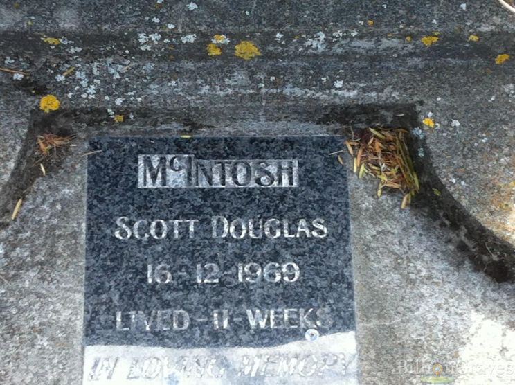 Douglas McIntosh