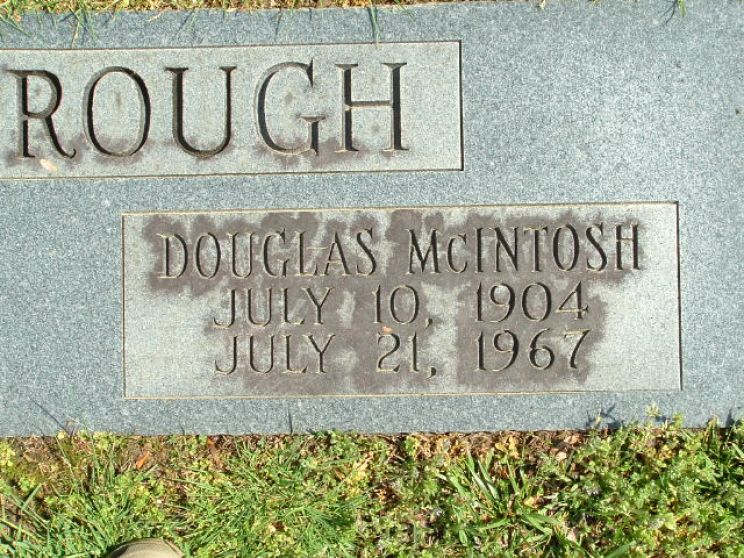 Douglas McIntosh