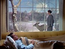 Douglas Sirk