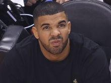 Drake #401831 picture (Landscape Medium)