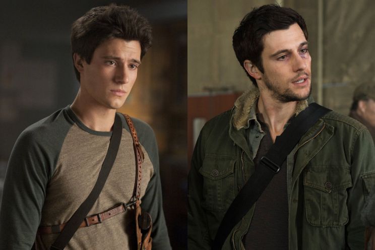 Drew Roy