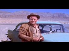 Dub Taylor