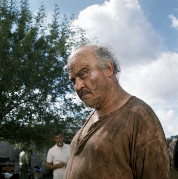 Dub Taylor