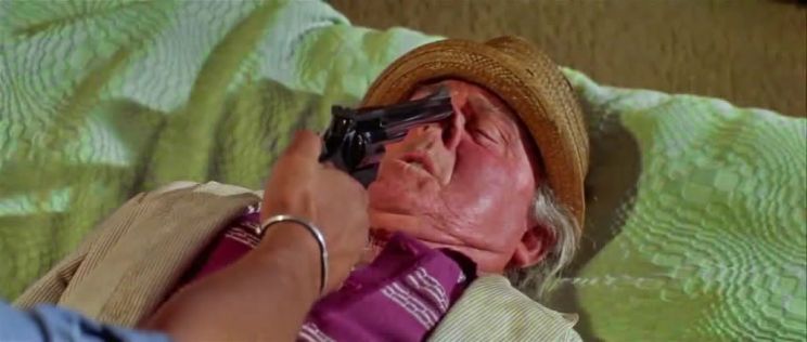 Dub Taylor