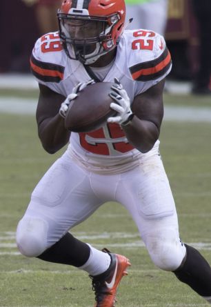 Duke Johnson