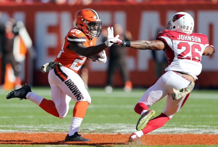Duke Johnson