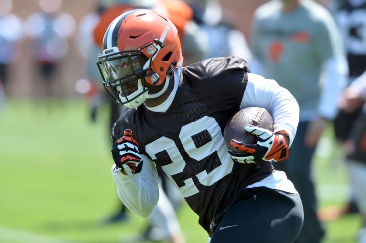 Duke Johnson