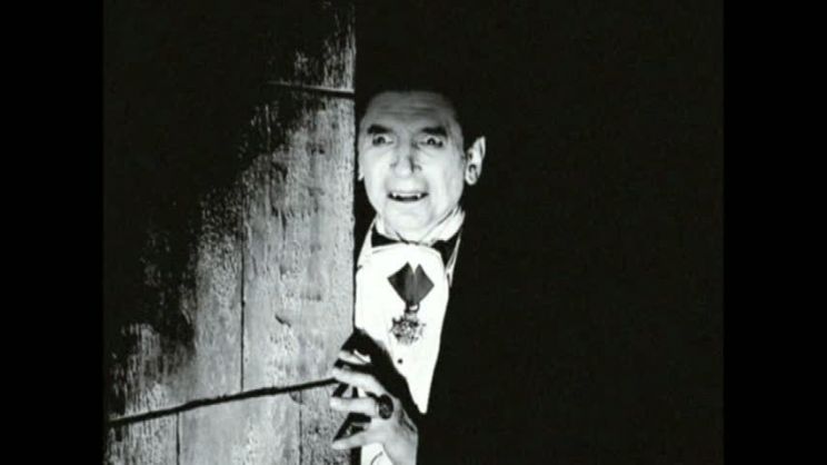 Dustin Fitzsimons
