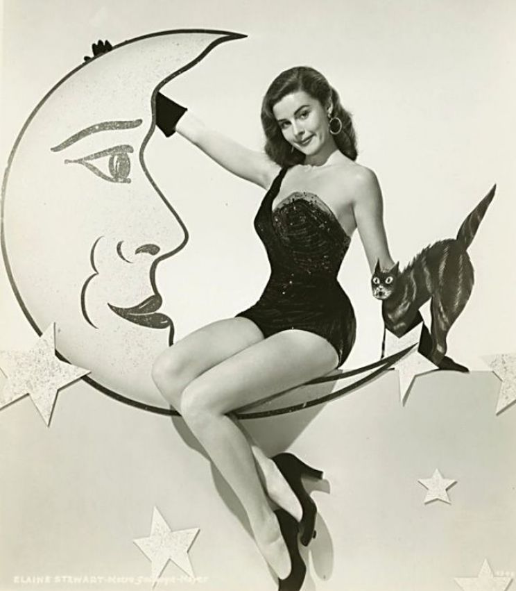 Dusty Anderson
