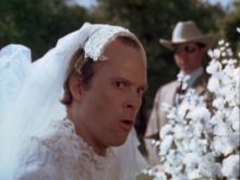 Dwight Schultz