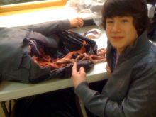 Dylan Minnette