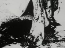 E. Elias Merhige