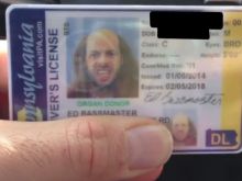 Ed Bassmaster #2074833 picture (Landscape Medium)