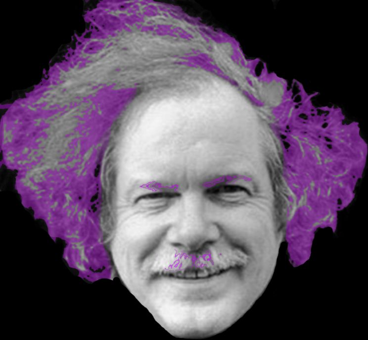 Ed Sanders