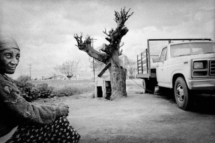 Eddie Adams