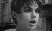 Edie Sedgwick